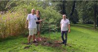 Ein weiterer Küstenmammutbaum in Altenberg gepflanzt